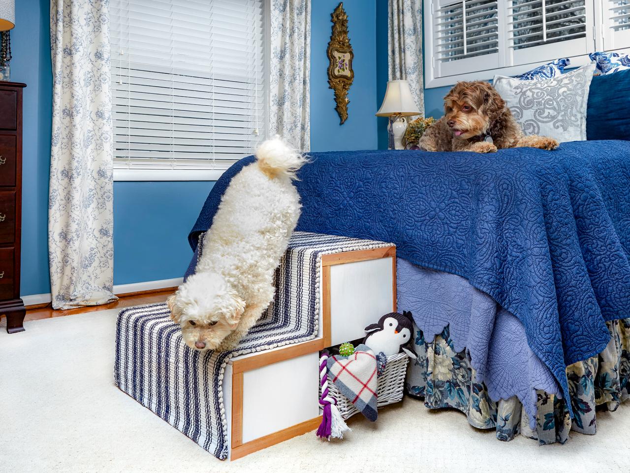 Build your shop own dog stairs